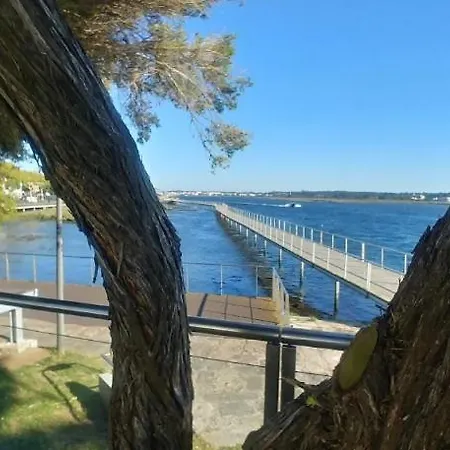 펜션 Oliver House - Casa De Palmeira